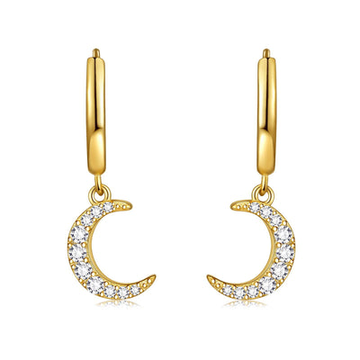 Dangle Hoop Earrings